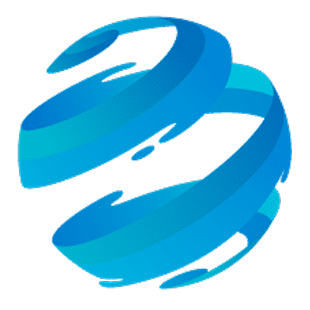 The Capital Holdings