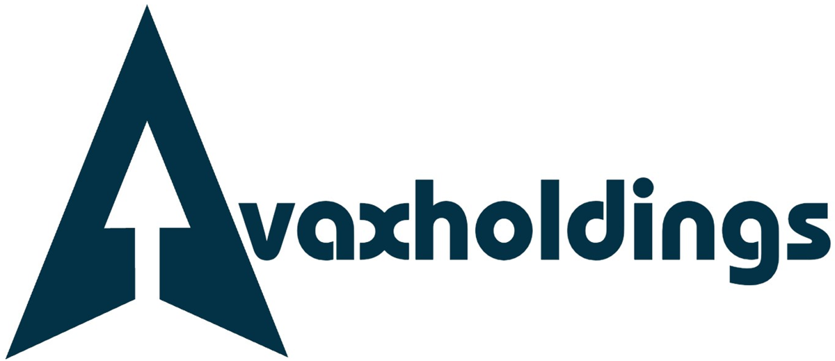avaxholdings.com