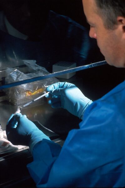 Erasca Stock Surges After Analyst Upgrade and Clinical Data Presentation