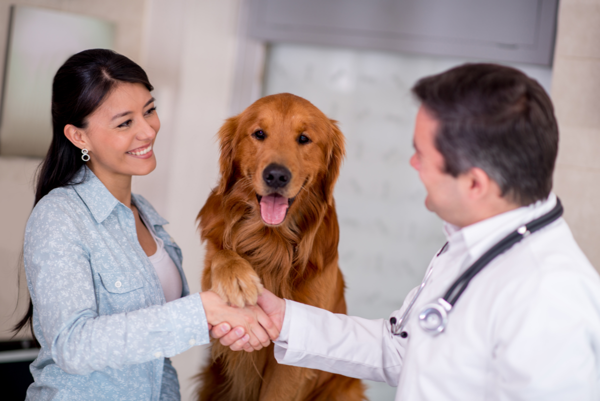 ASPCA Pet Insurance Offers Comprehensive Coverage with Higher Premiums