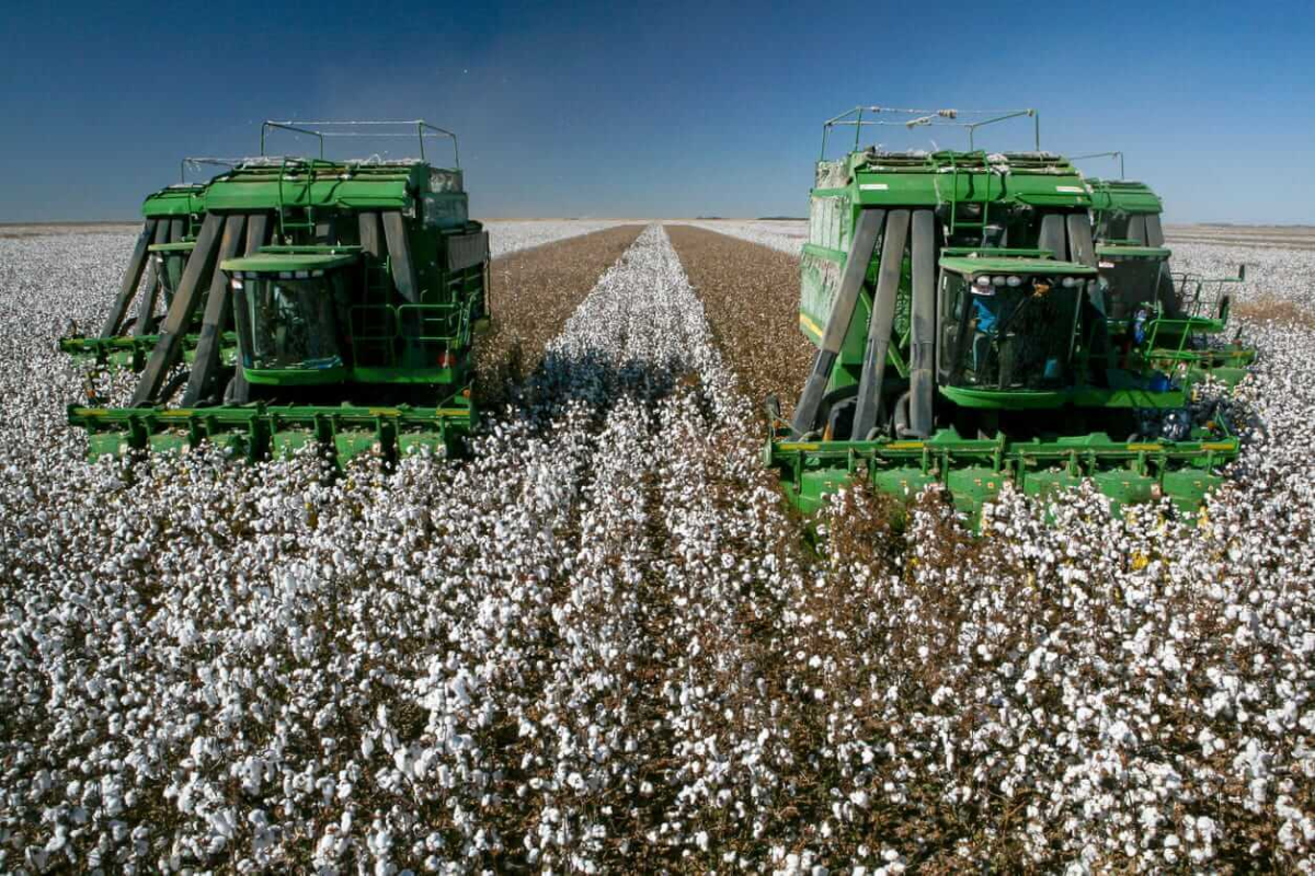 Cotton Futures Show Mixed Trading as Key Indexes Shift