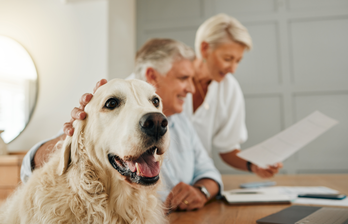 MetLife Pet Insurance Offers Competitive Coverage and Family Plan Options