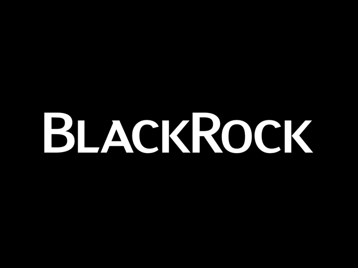 BlackRock Seeks India Approval for Renewable Energy Stake