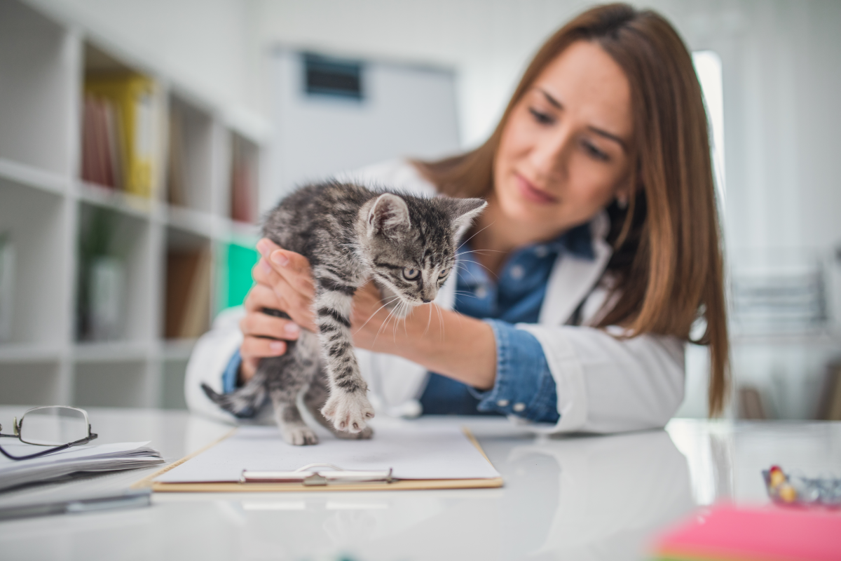 Pets Best Receives Top Rating in Yahoo Finance Pet Insurance Evaluation