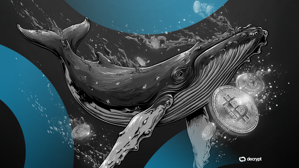 Major Crypto Holders Increase Stakes in Ethereum Chainlink and Bitcoin Amid Retail Selling